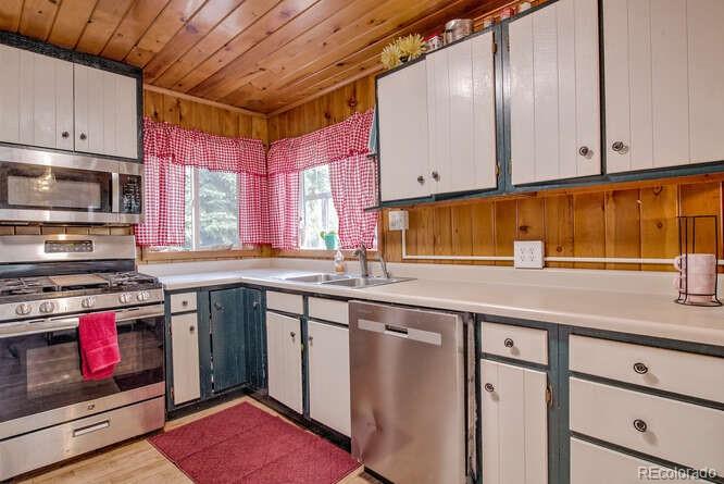 MLS Image #13 for 3002  highway 91 ,leadville, Colorado