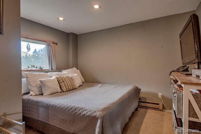 MLS Image #14 for 3002  highway 91 ,leadville, Colorado