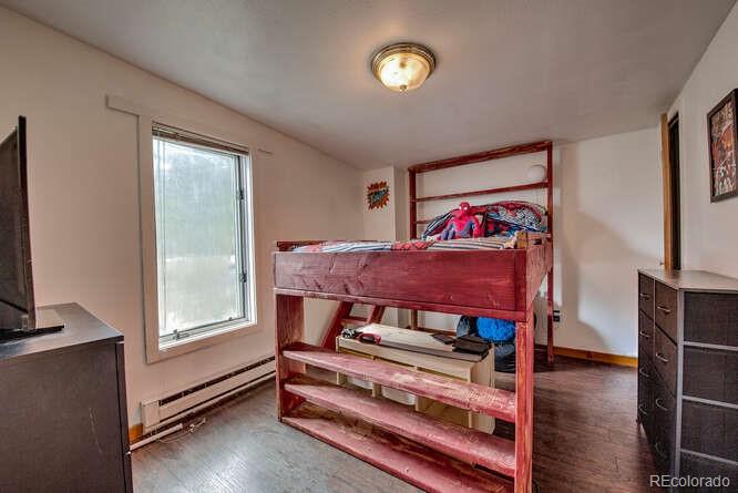 MLS Image #21 for 3002  highway 91 ,leadville, Colorado
