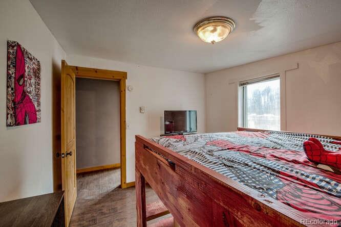 MLS Image #23 for 3002  highway 91 ,leadville, Colorado