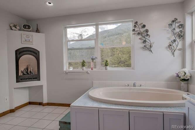 MLS Image #29 for 3002  highway 91 ,leadville, Colorado