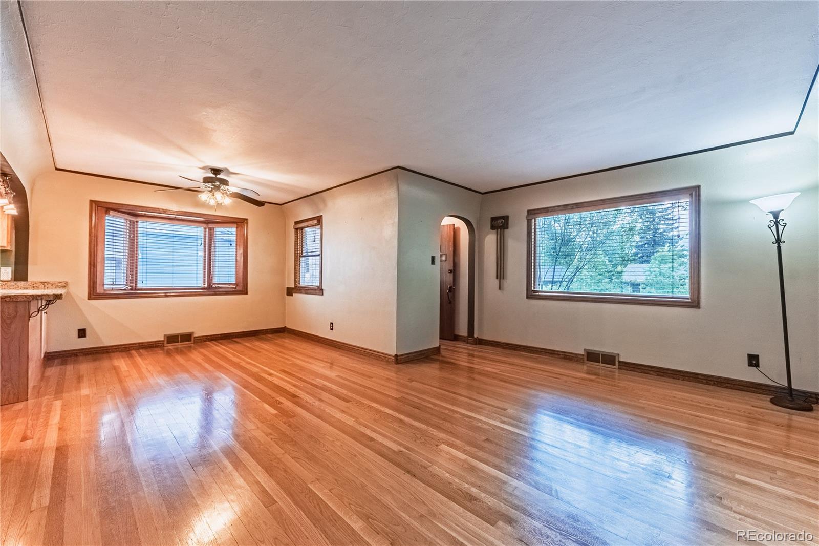 MLS Image #4 for 1325 n foote avenue,colorado springs, Colorado
