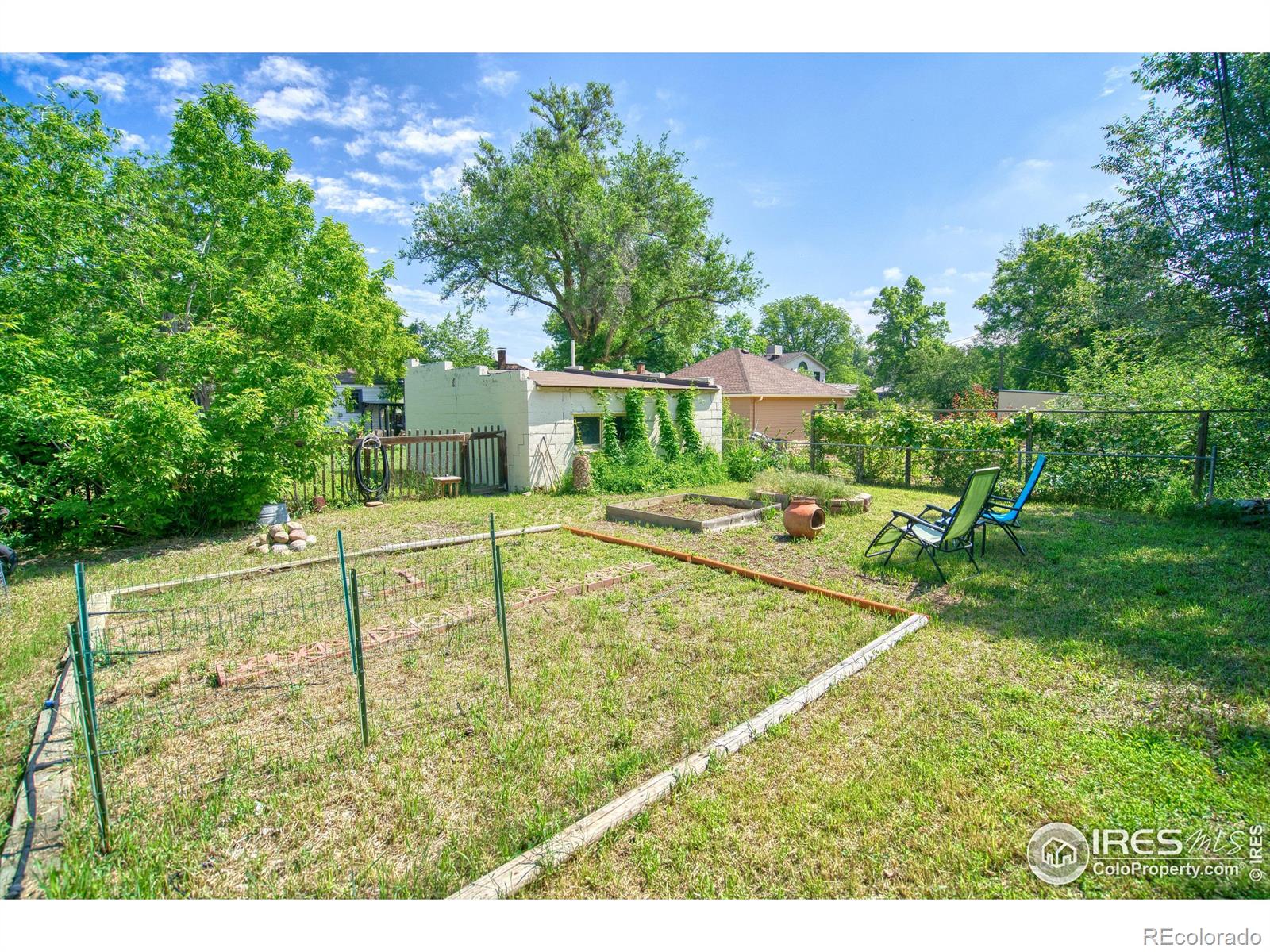MLS Image #10 for 1233  carolina avenue,longmont, Colorado