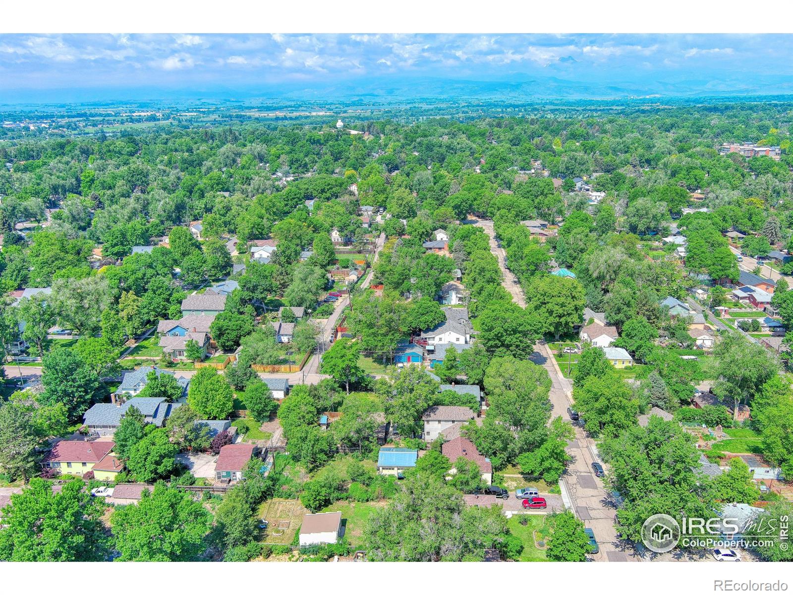 MLS Image #4 for 1233  carolina avenue,longmont, Colorado