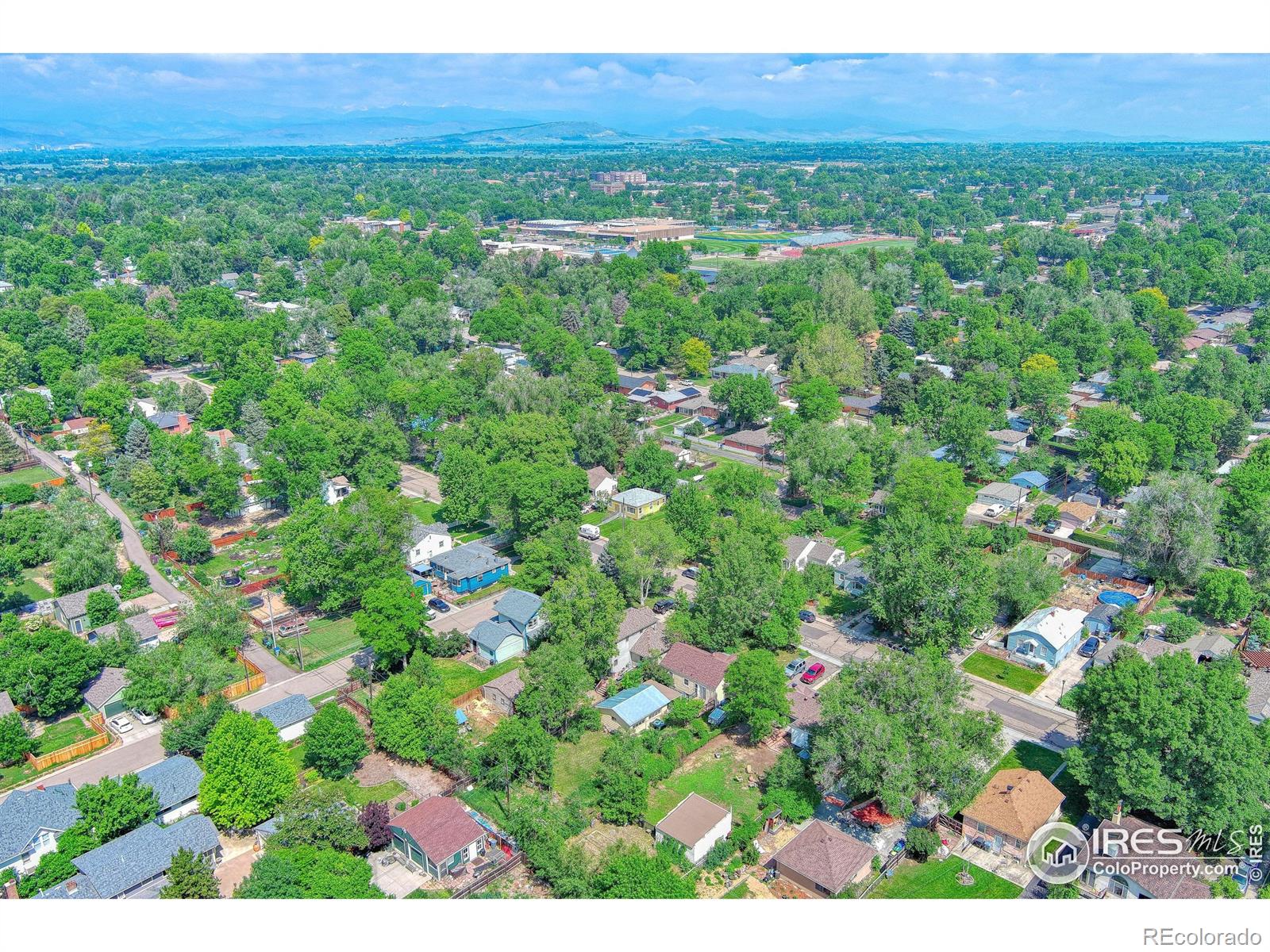 MLS Image #5 for 1233  carolina avenue,longmont, Colorado