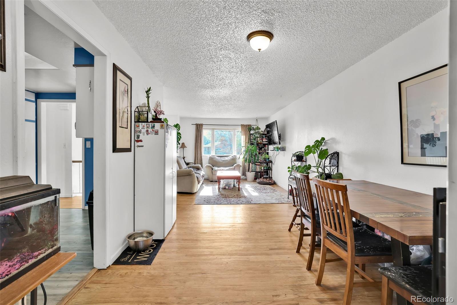 MLS Image #4 for 7003  cleveland court,colorado springs, Colorado