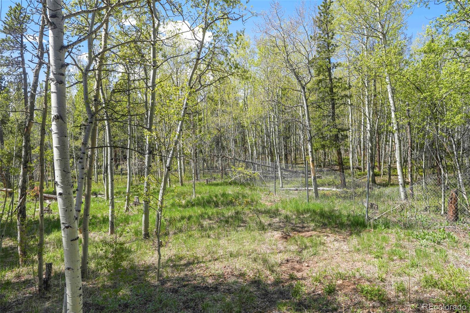 MLS Image #13 for 779  high point circle,black hawk, Colorado