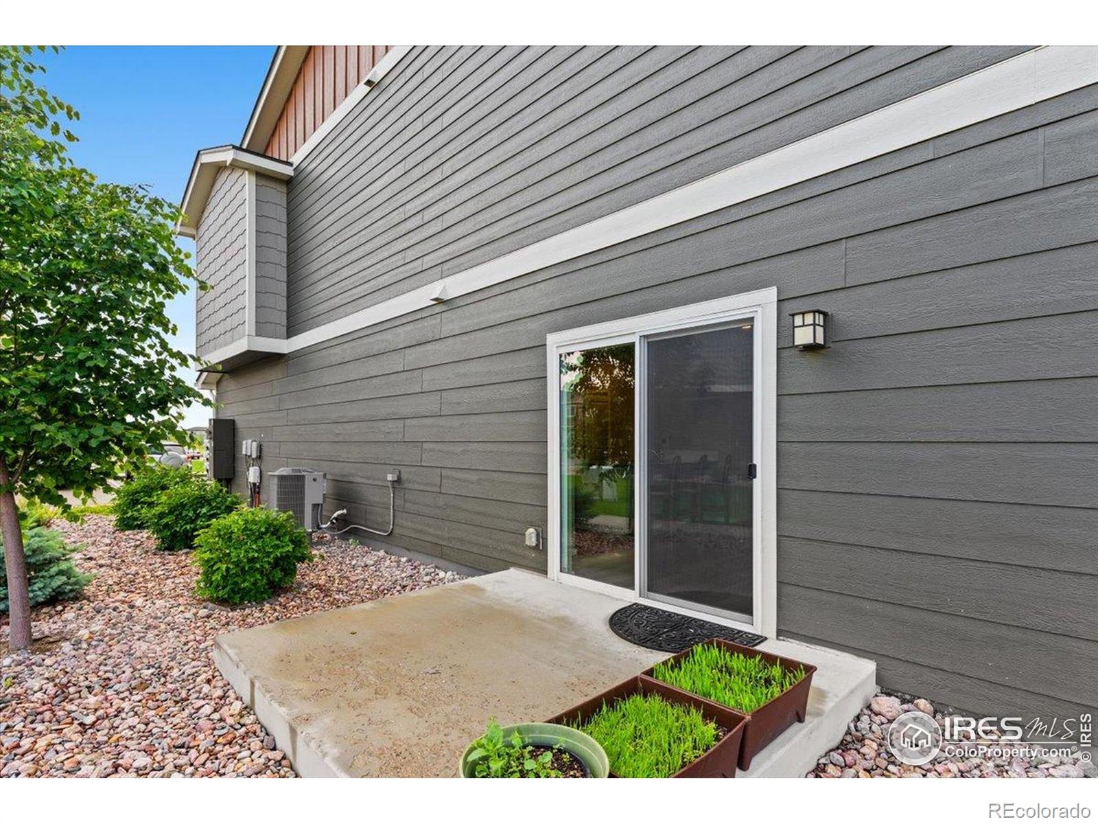 MLS Image #14 for 3635  ronald reagan avenue,wellington, Colorado