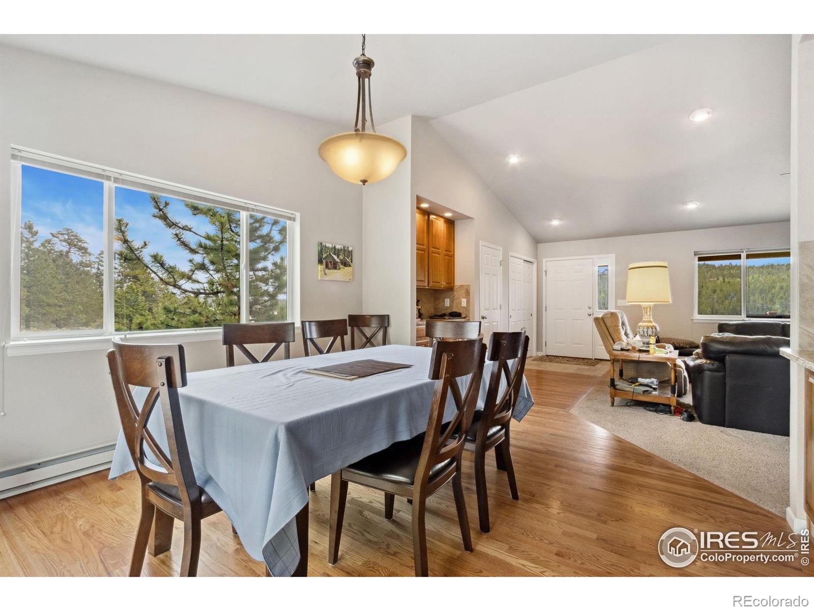 MLS Image #10 for 246  nowata drive,red feather lakes, Colorado