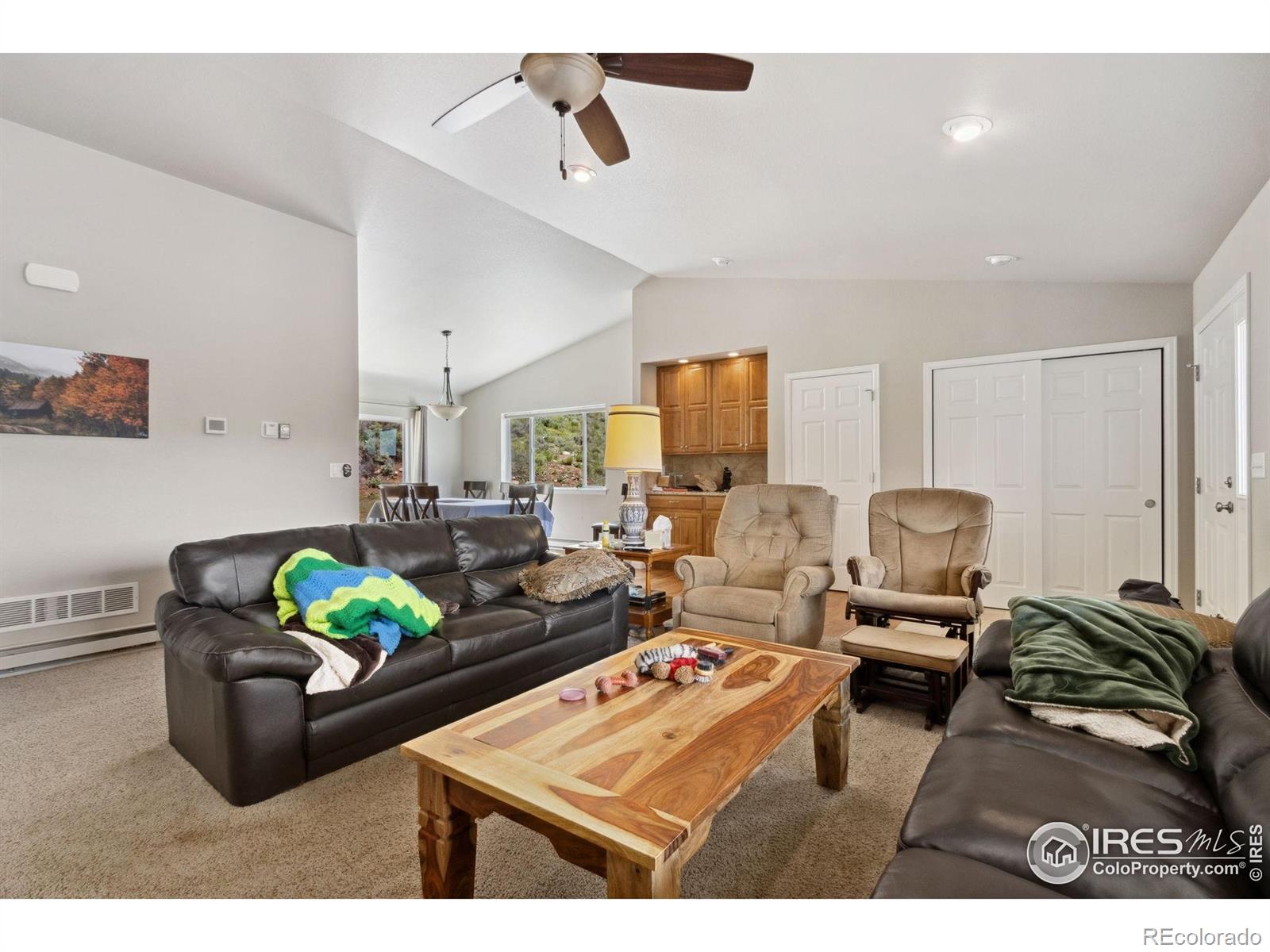 MLS Image #11 for 246  nowata drive,red feather lakes, Colorado