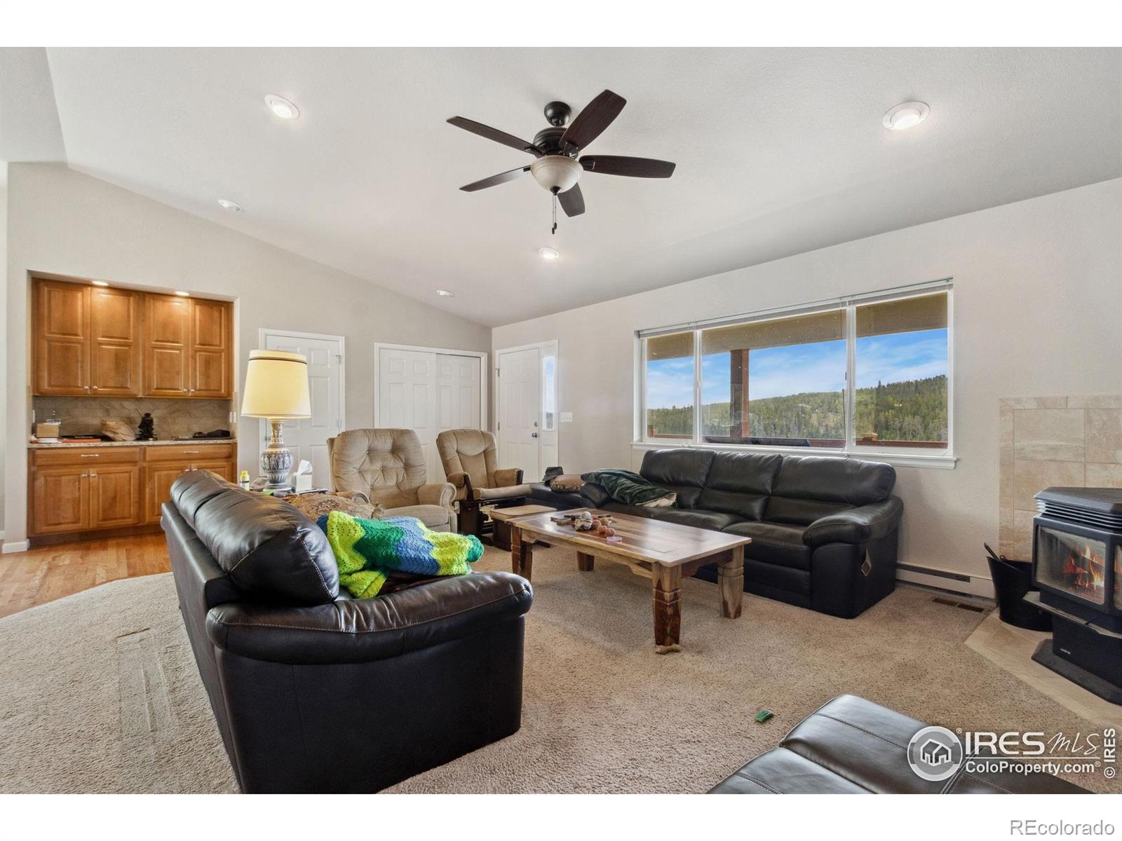 MLS Image #12 for 246  nowata drive,red feather lakes, Colorado