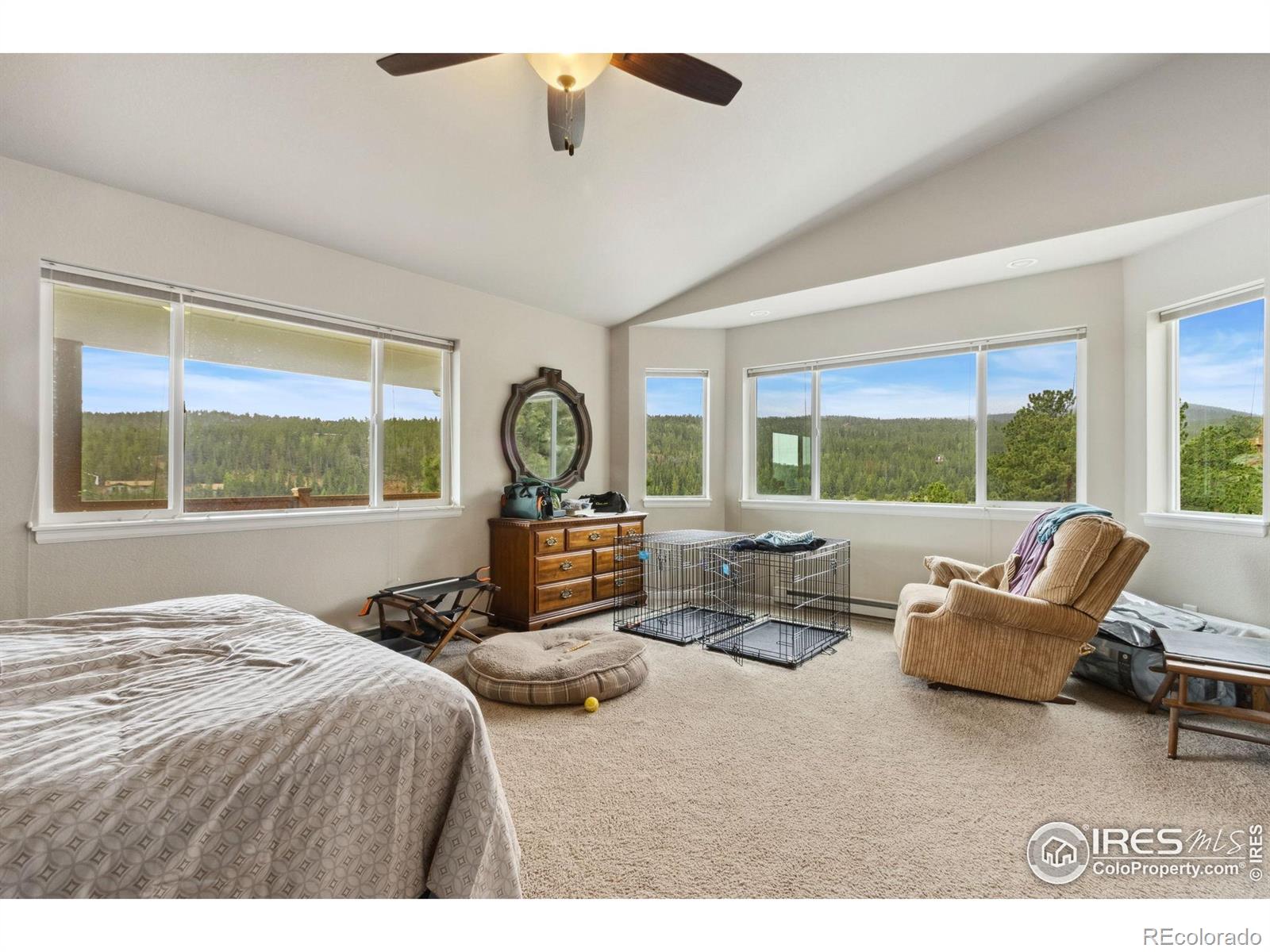 MLS Image #14 for 246  nowata drive,red feather lakes, Colorado