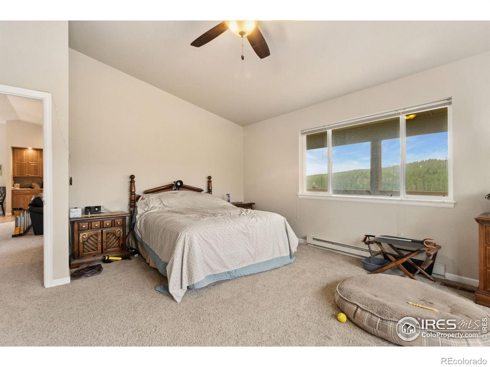 MLS Image #15 for 246  nowata drive,red feather lakes, Colorado