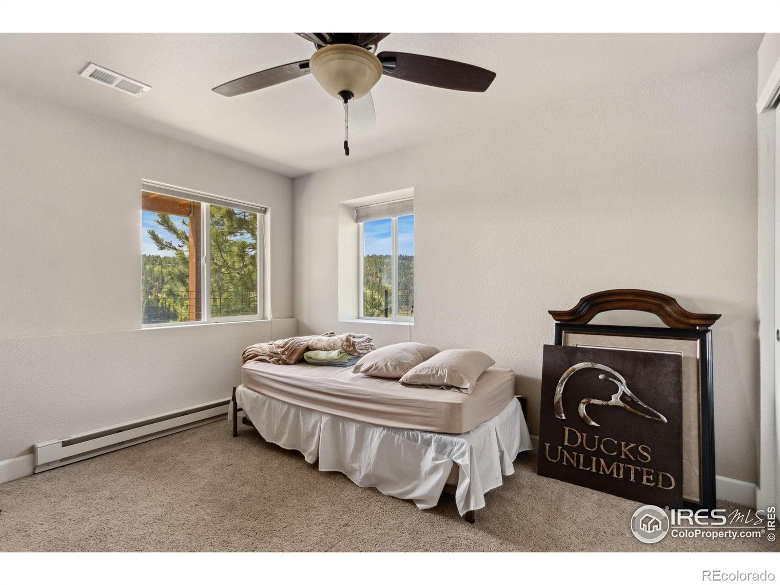 MLS Image #19 for 246  nowata drive,red feather lakes, Colorado