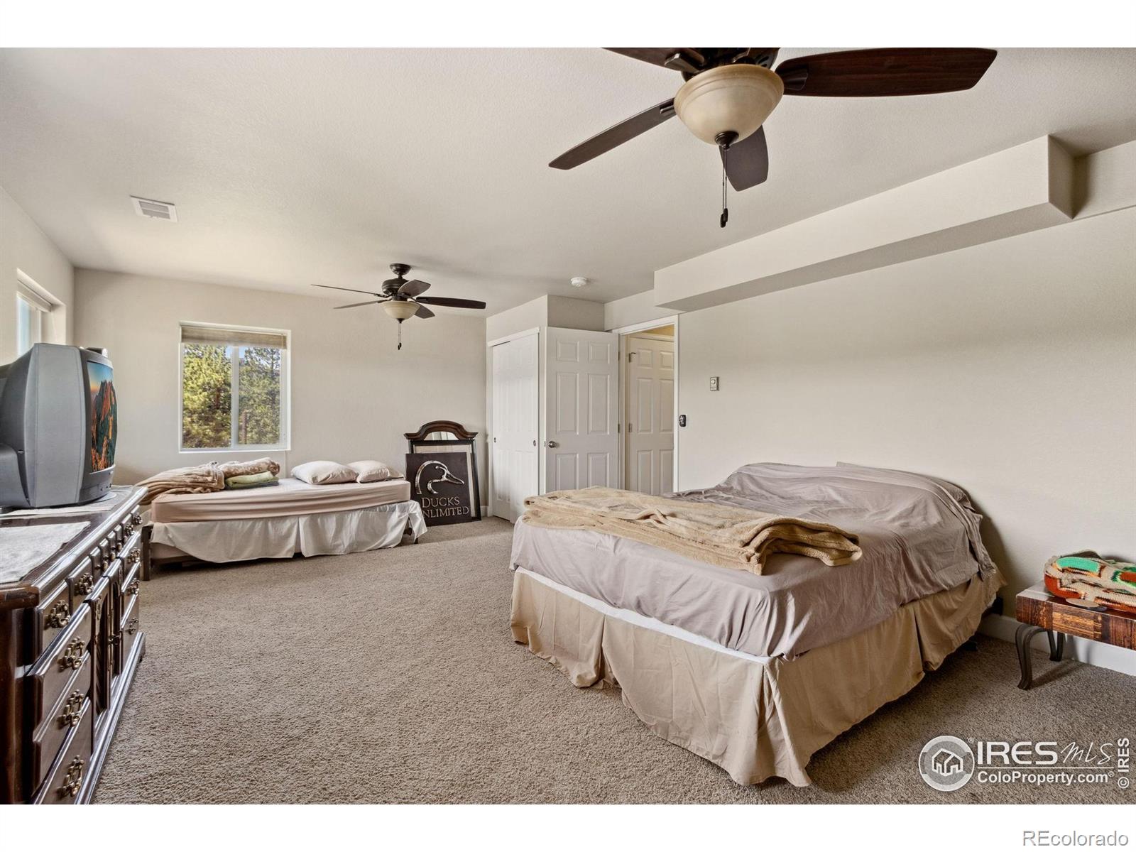 MLS Image #20 for 246  nowata drive,red feather lakes, Colorado