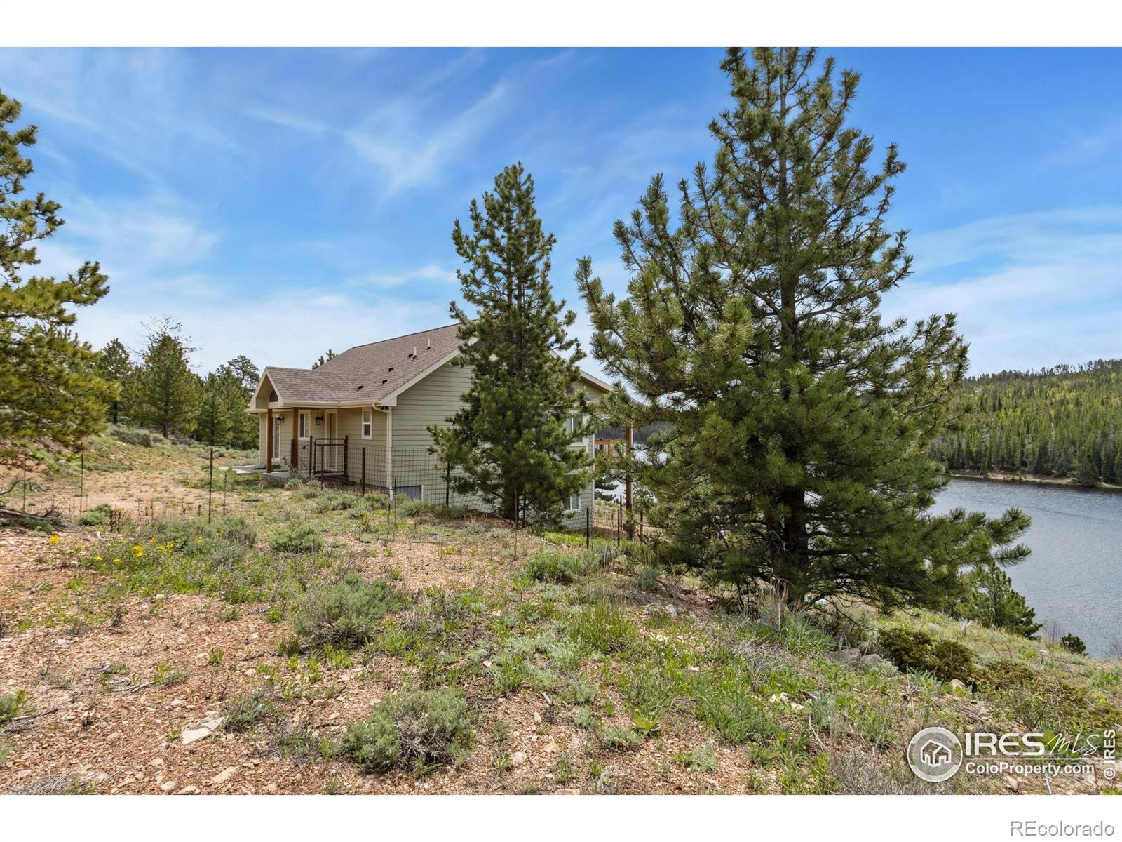 MLS Image #3 for 246  nowata drive,red feather lakes, Colorado