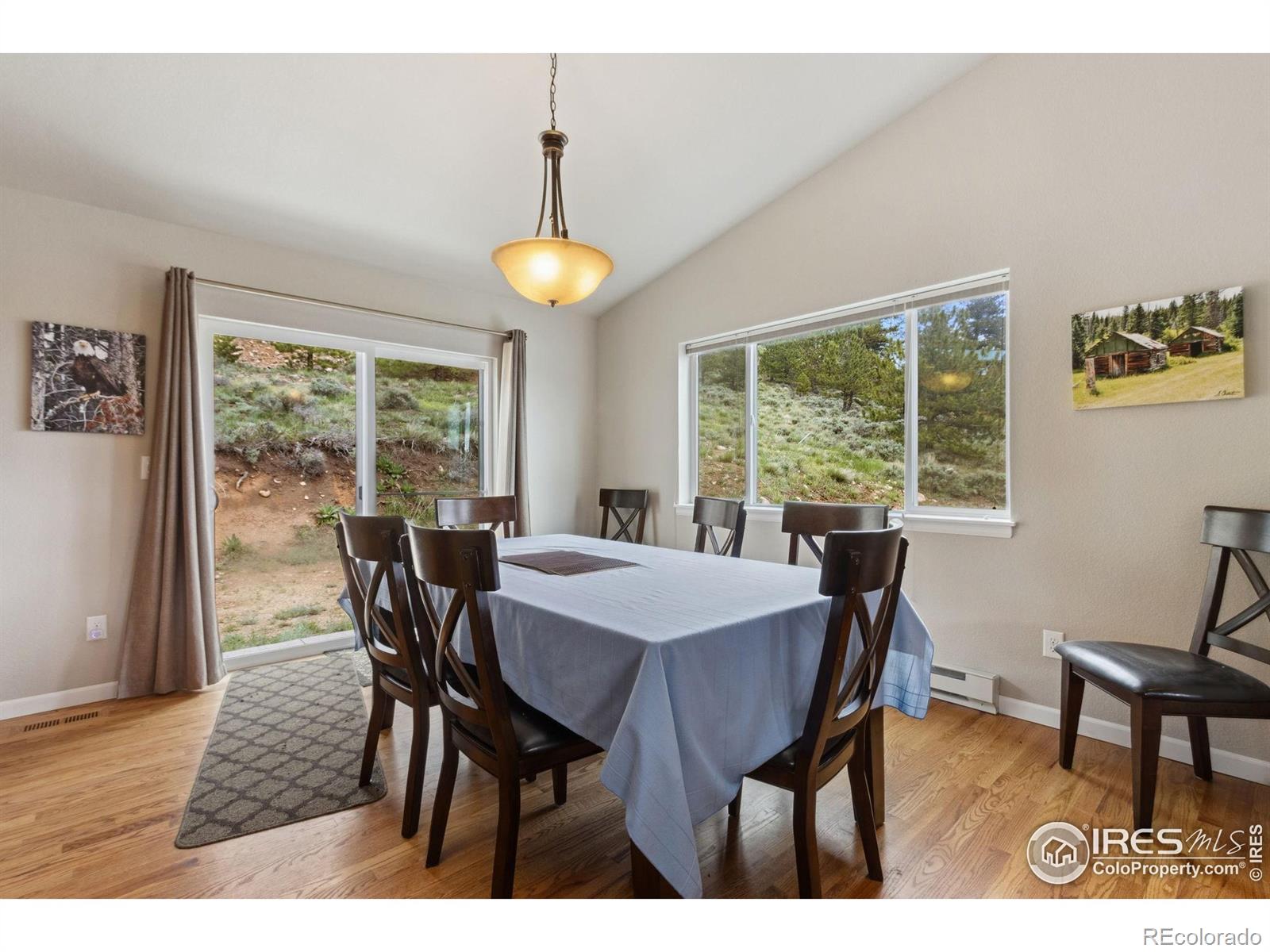 MLS Image #9 for 246  nowata drive,red feather lakes, Colorado
