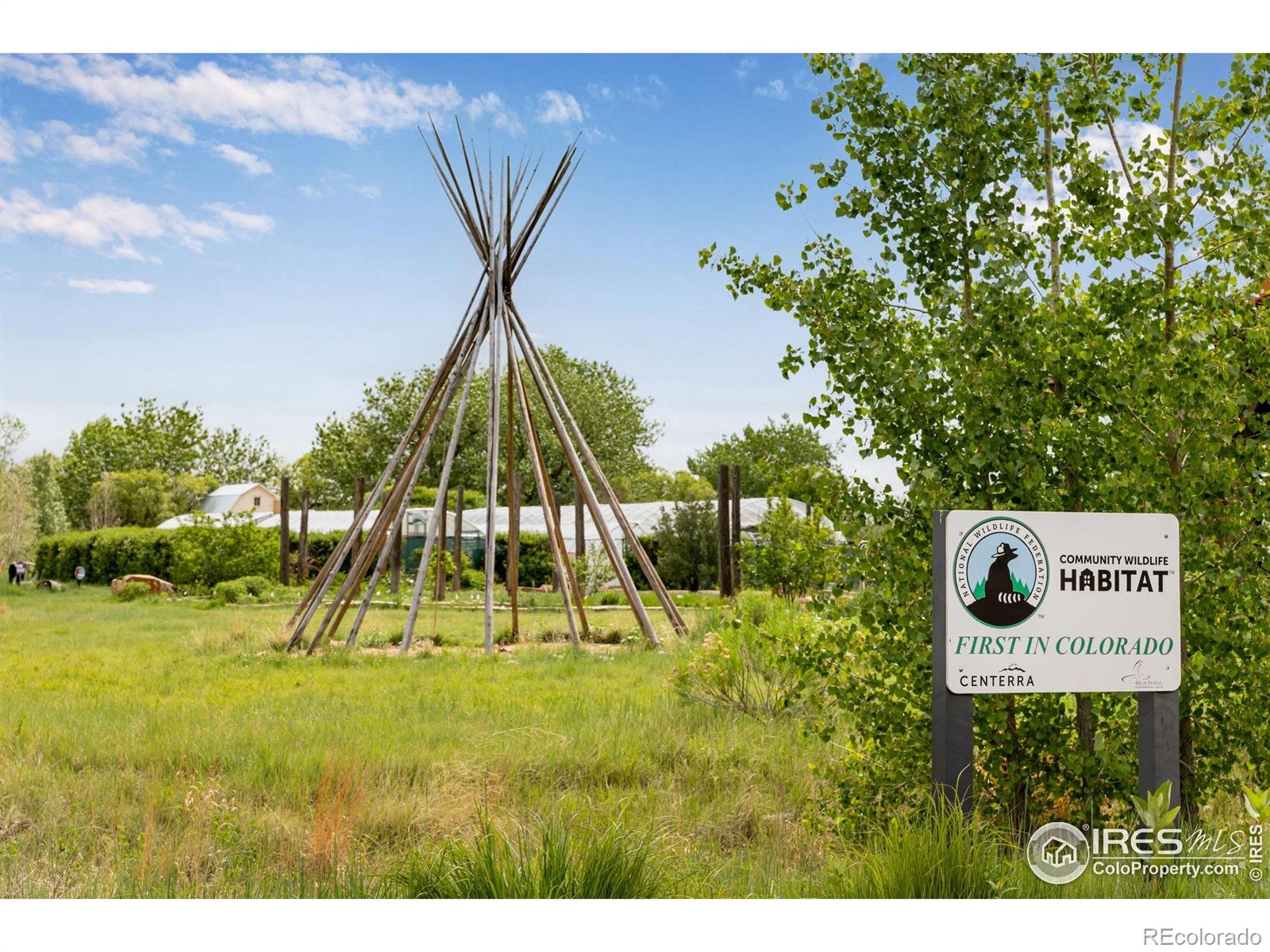 MLS Image #32 for 3997  forest lake court,loveland, Colorado