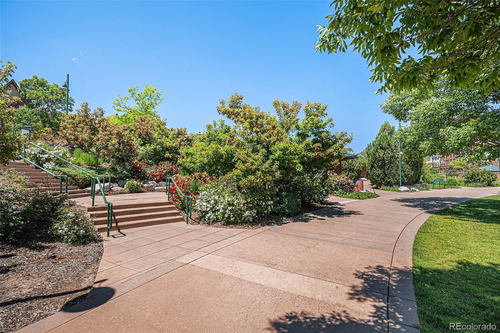 MLS Image #34 for 1044  rockhurst drive 207,highlands ranch, Colorado