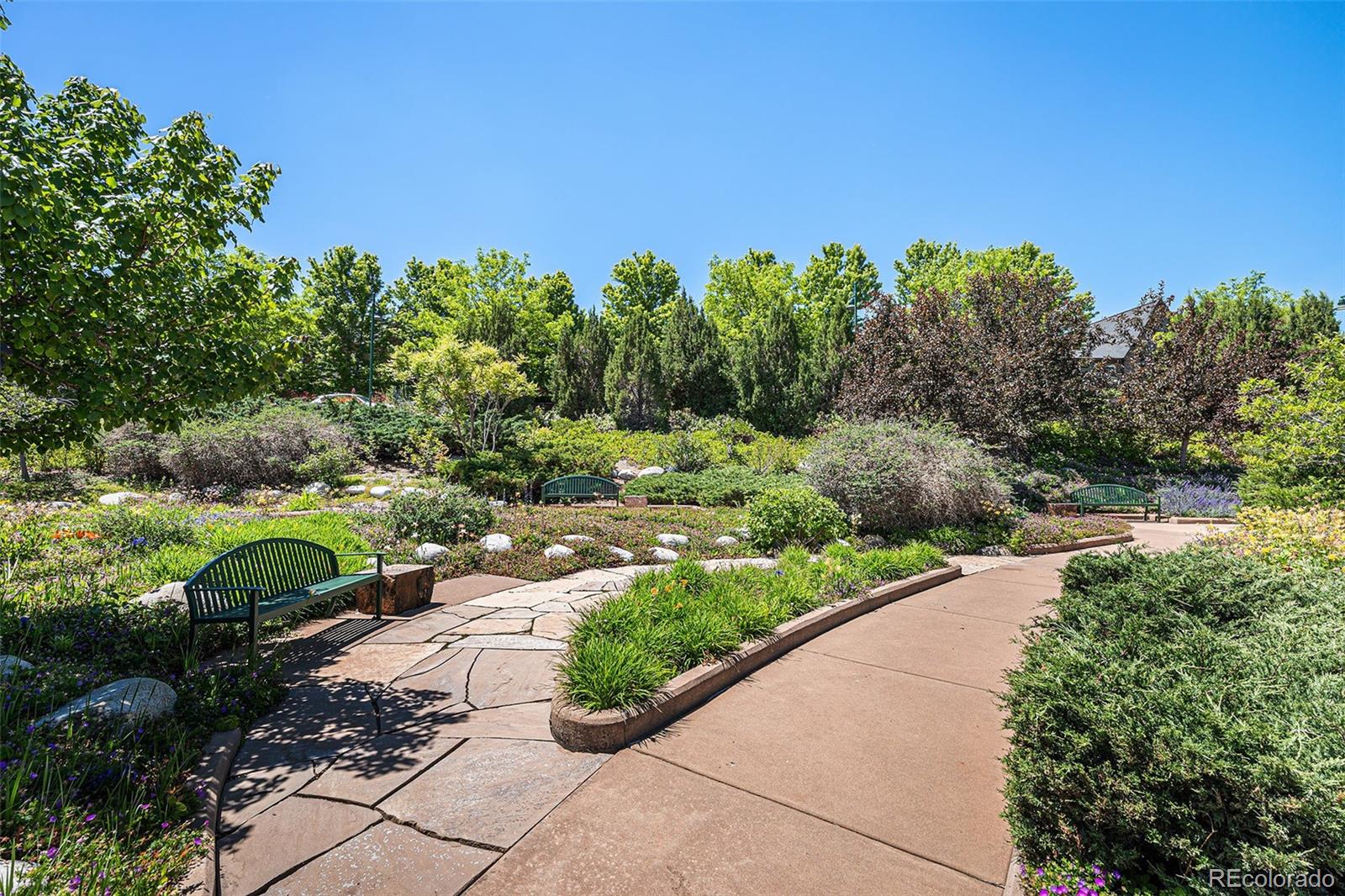 MLS Image #37 for 1044  rockhurst drive 207,highlands ranch, Colorado