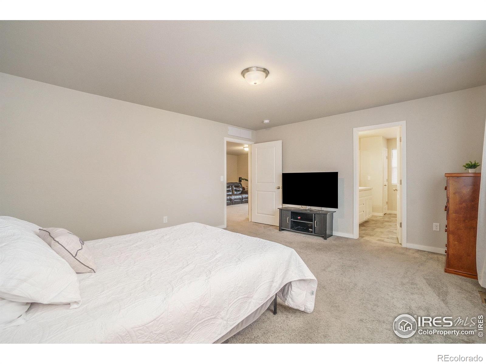MLS Image #11 for 3960  sweetgum street,wellington, Colorado