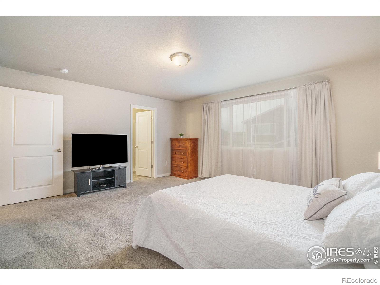 MLS Image #12 for 3960  sweetgum street,wellington, Colorado
