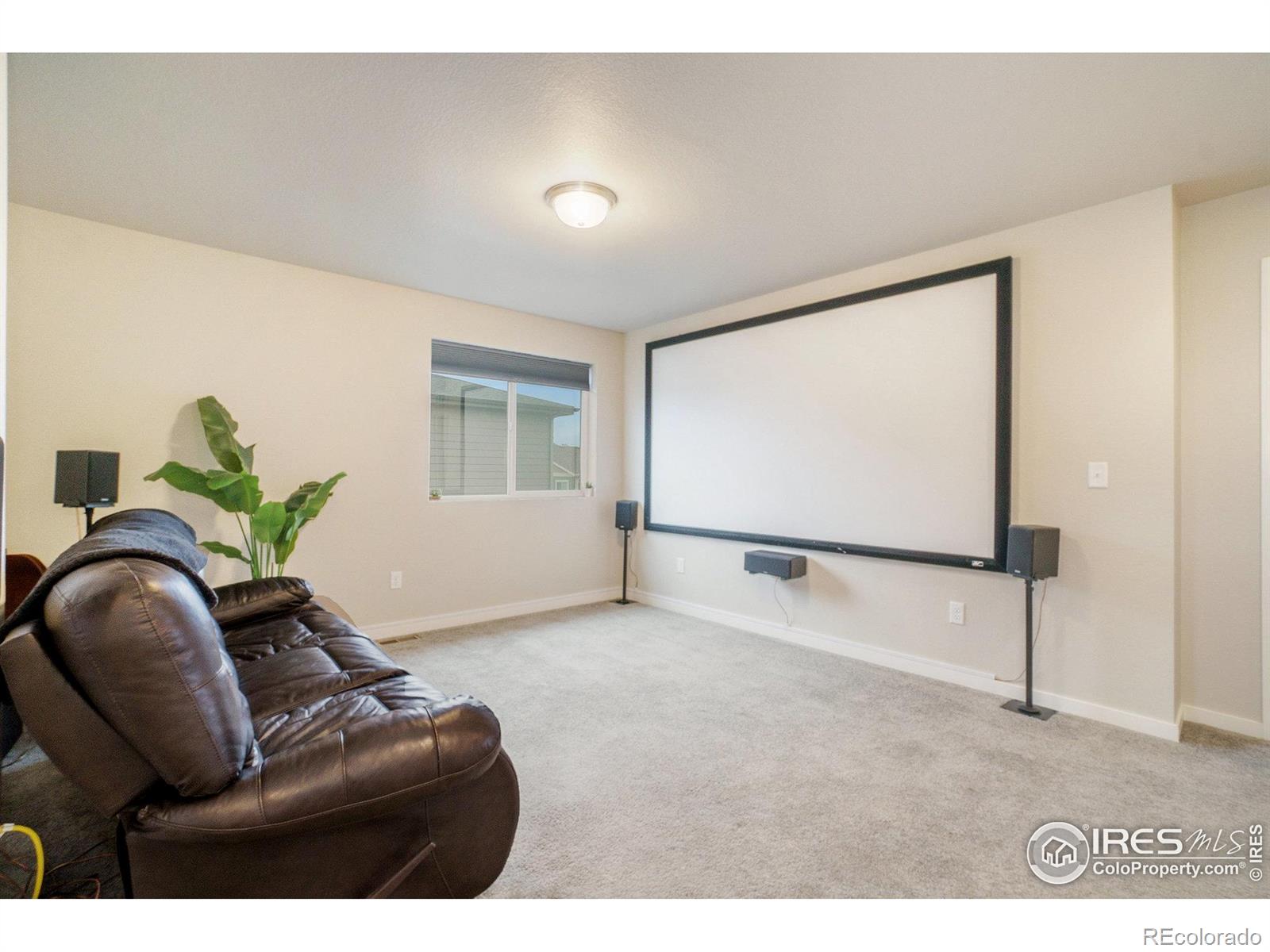 MLS Image #15 for 3960  sweetgum street,wellington, Colorado