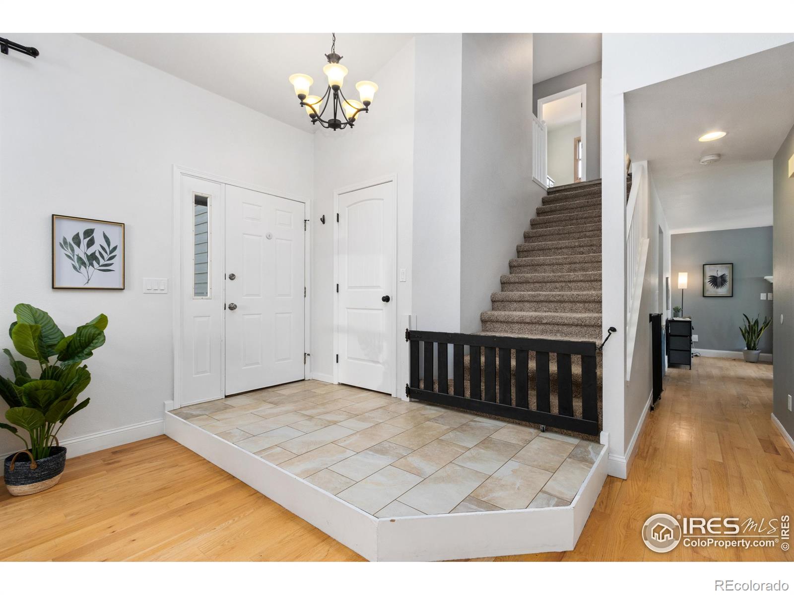 MLS Image #2 for 837  marble drive,fort collins, Colorado
