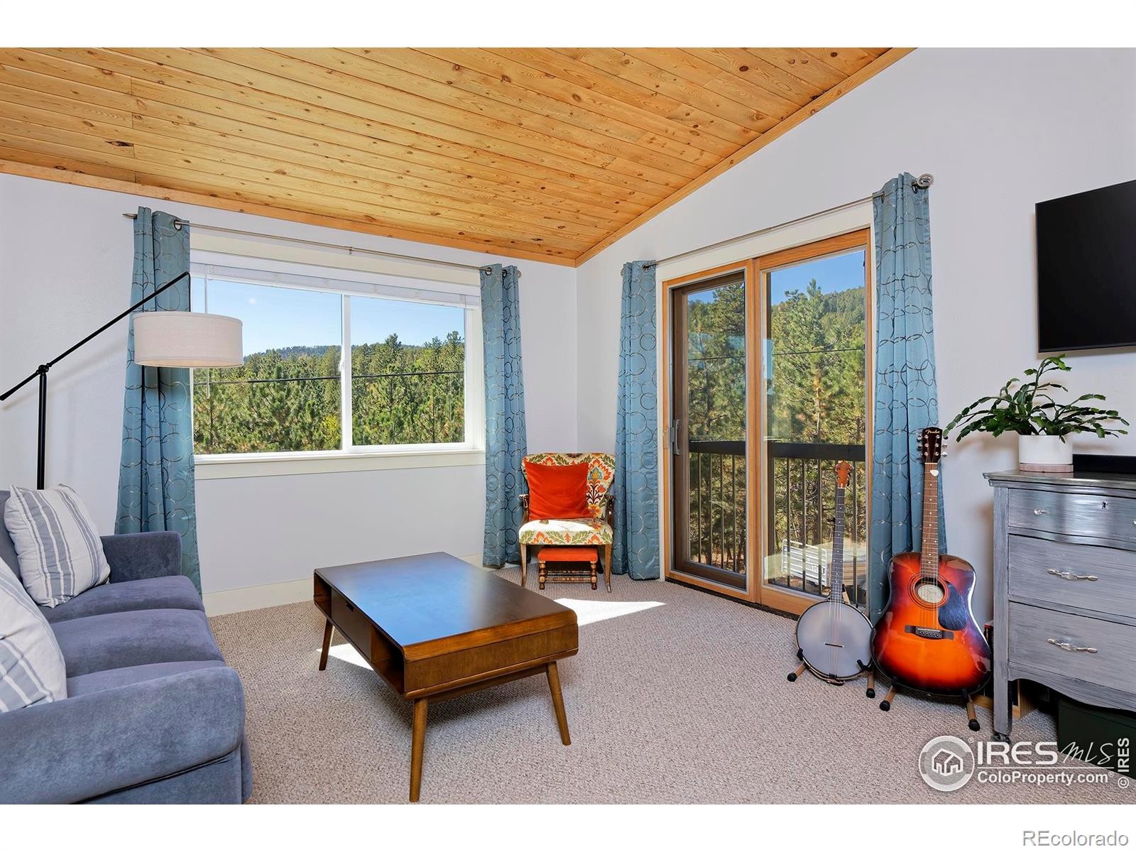 MLS Image #11 for 223  copperdale lane,golden, Colorado