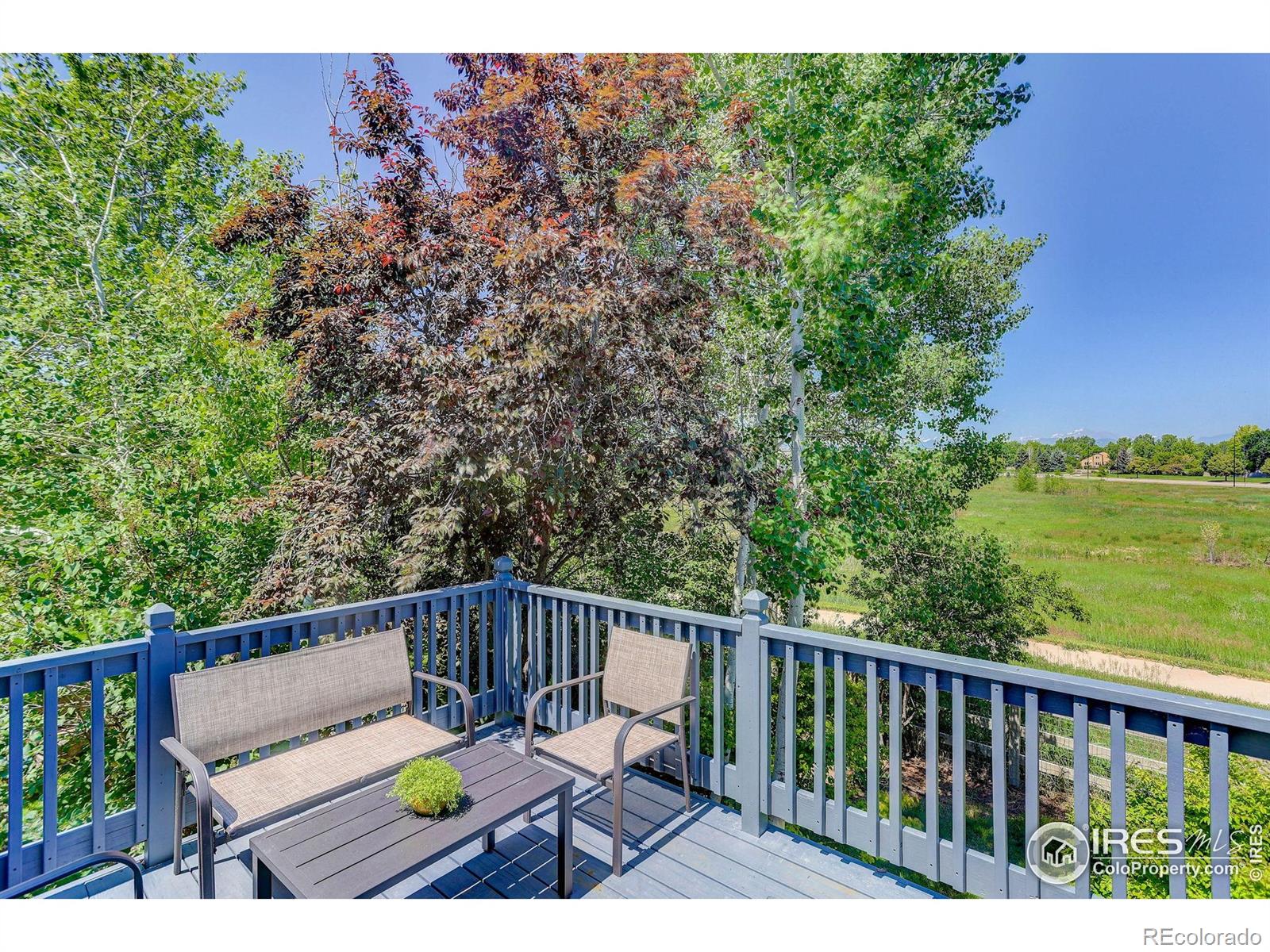 MLS Image #14 for 1673  bain drive,erie, Colorado