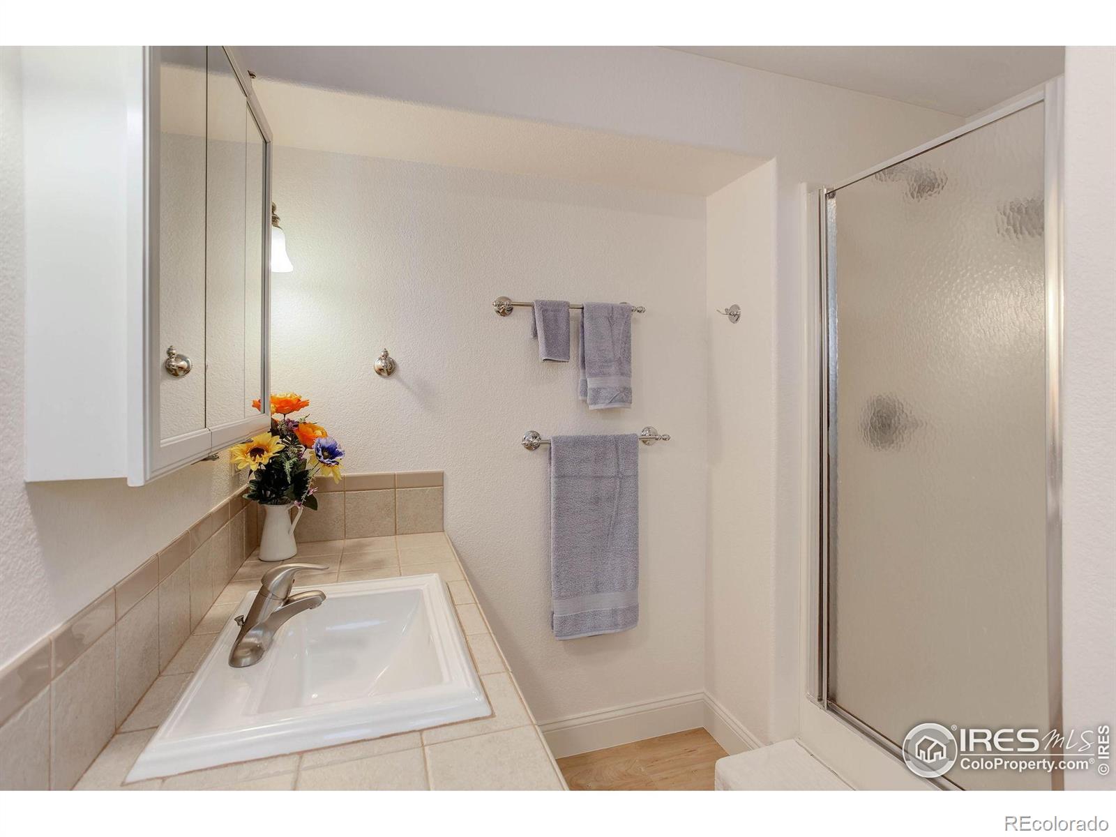 MLS Image #24 for 1673  bain drive,erie, Colorado