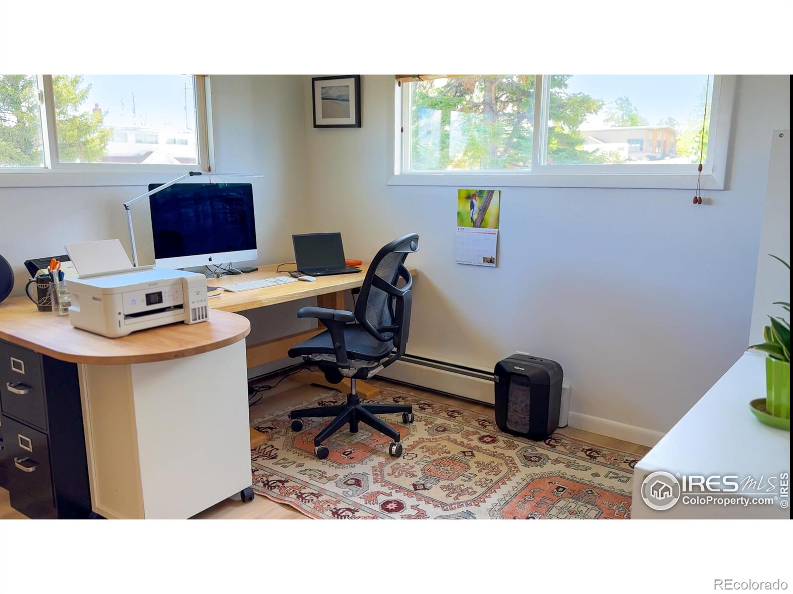 MLS Image #17 for 336  lafever street,walden, Colorado