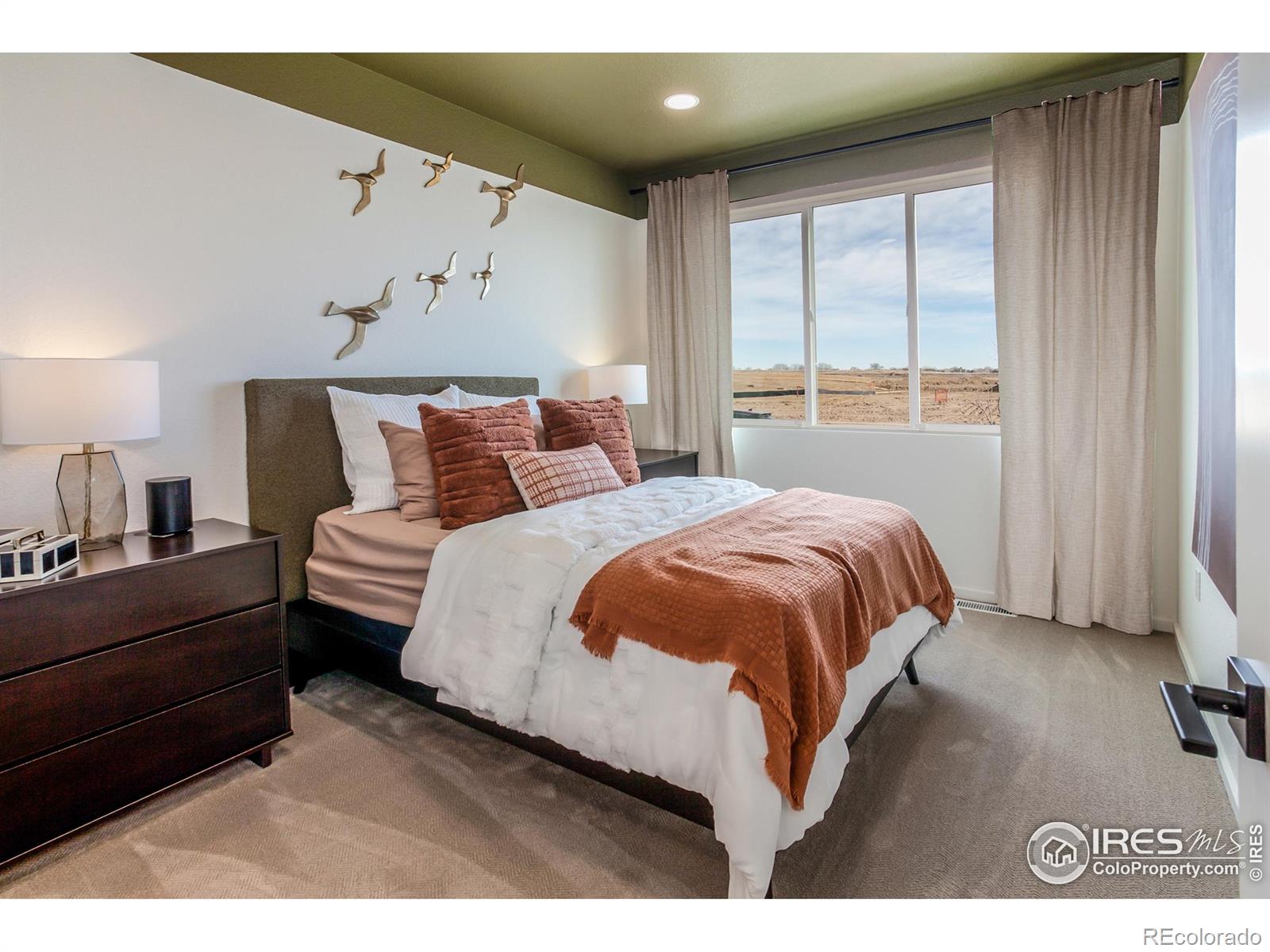 MLS Image #3 for 3152  tourmaline place,fort collins, Colorado