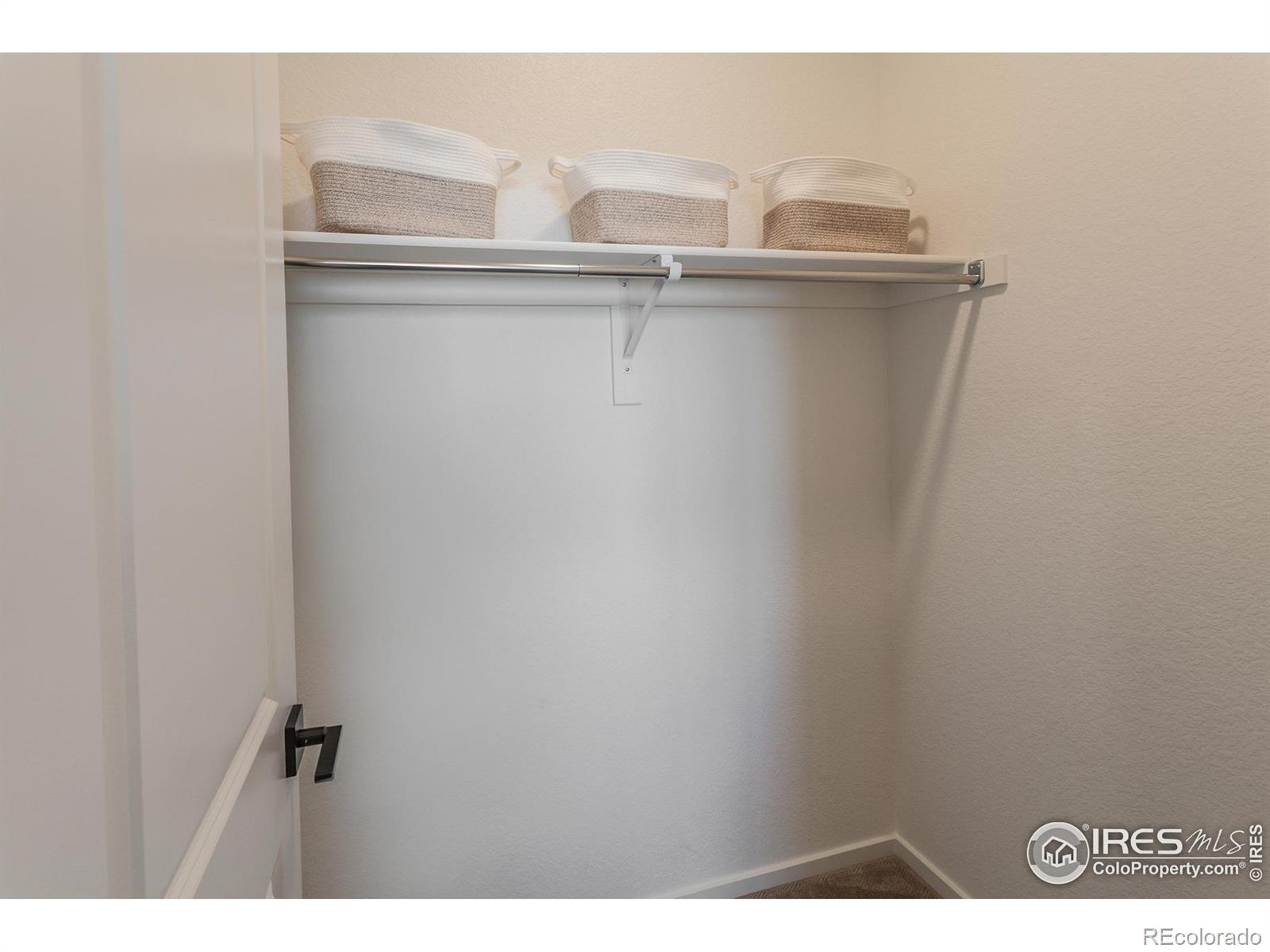 MLS Image #4 for 3152  tourmaline place,fort collins, Colorado
