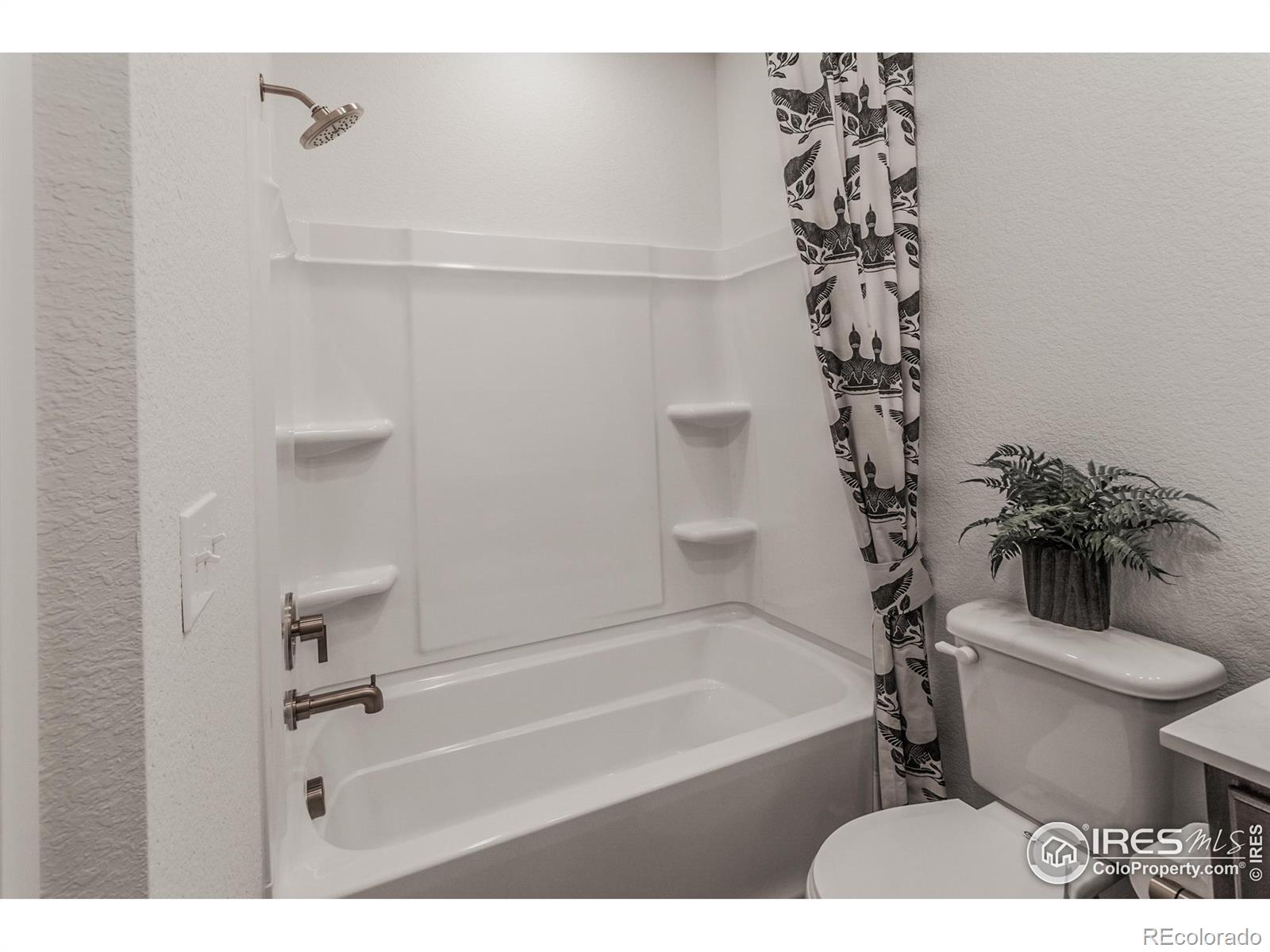 MLS Image #6 for 3152  tourmaline place,fort collins, Colorado