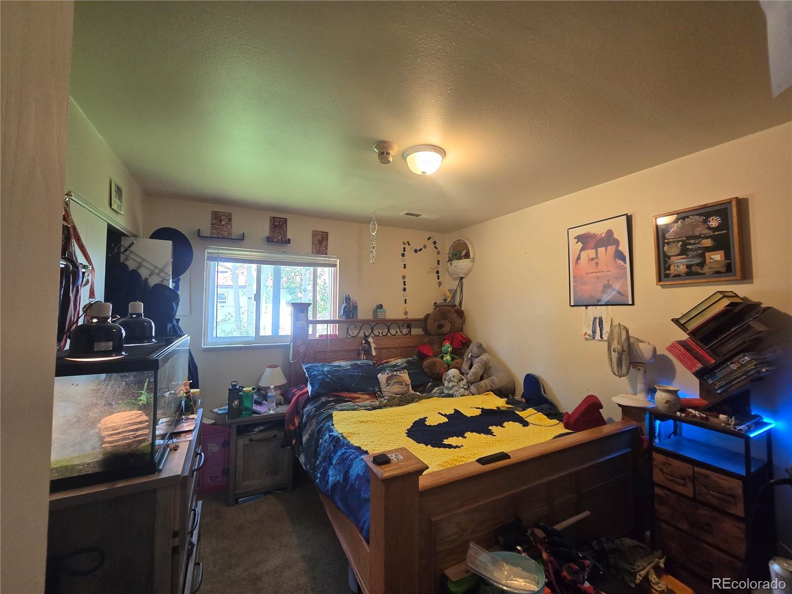 MLS Image #7 for 579  spruce street,monte vista, Colorado