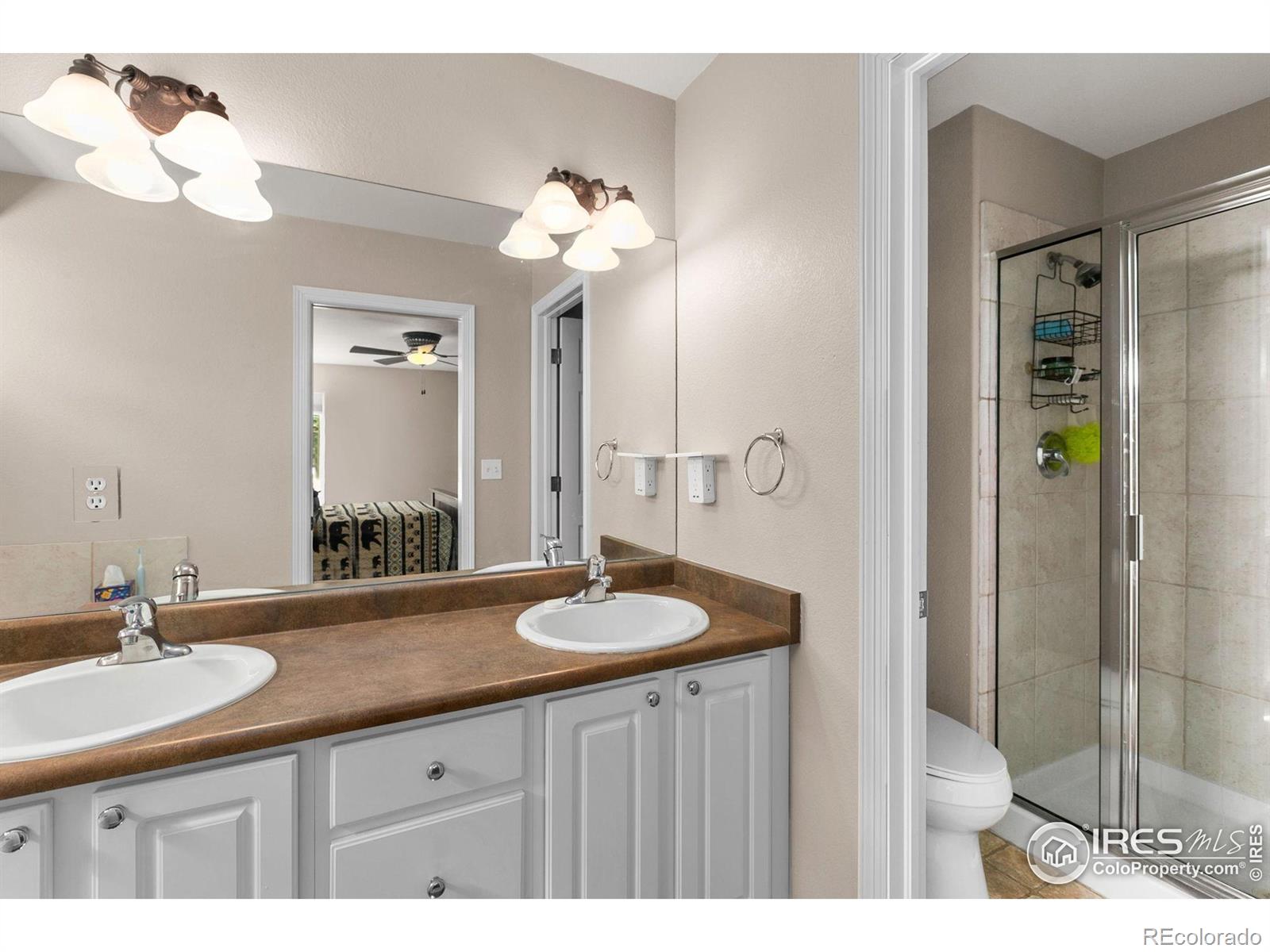 MLS Image #19 for 1421  snipe lane,fort collins, Colorado