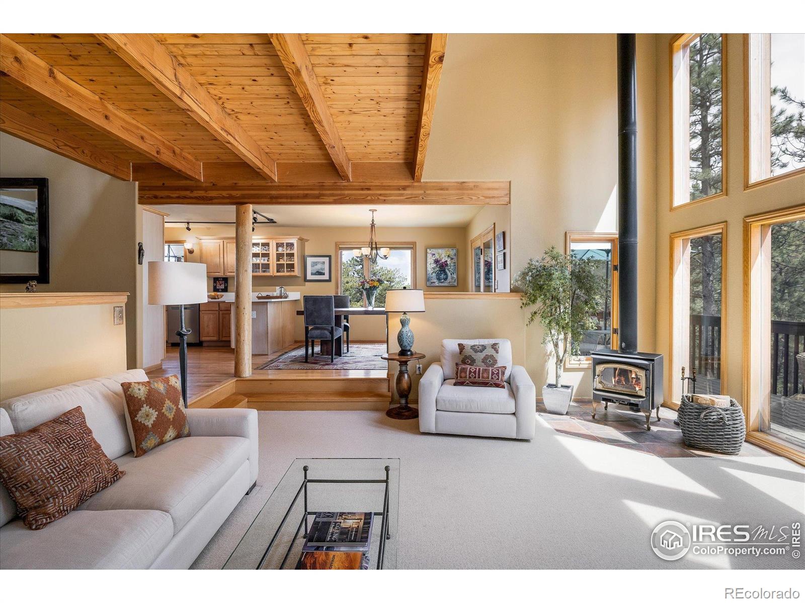 MLS Image #3 for 187  rocky knob lane,nederland, Colorado