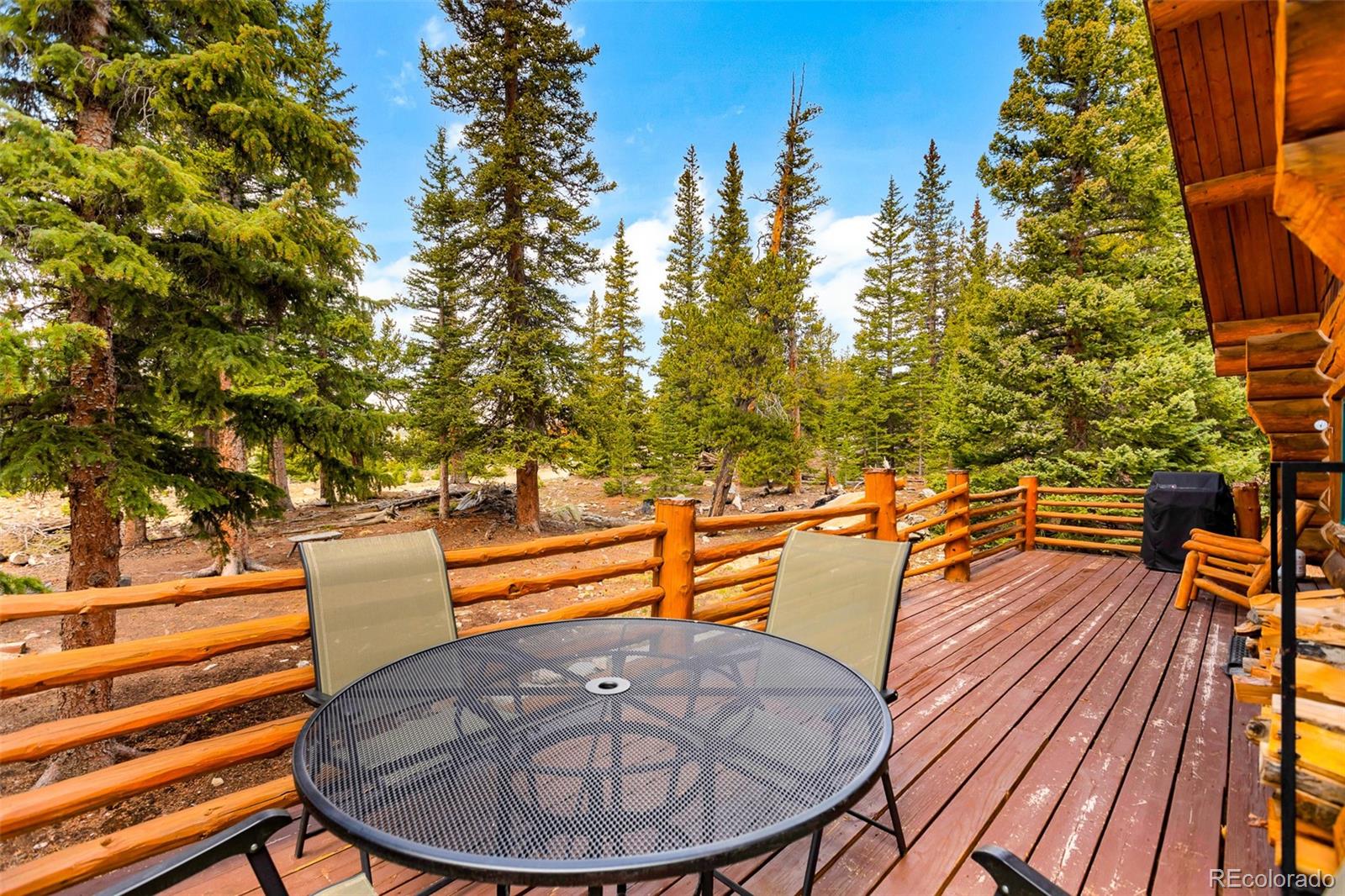 MLS Image #14 for 45  valley of the sun drive,fairplay, Colorado