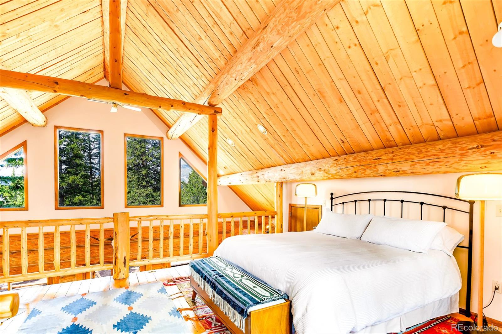 MLS Image #21 for 45  valley of the sun drive,fairplay, Colorado