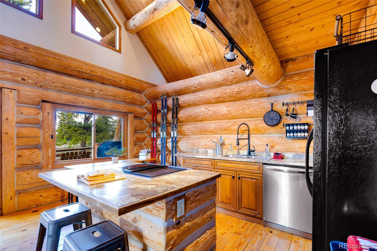 MLS Image #4 for 45  valley of the sun drive,fairplay, Colorado
