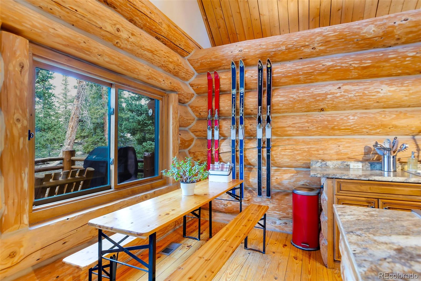 MLS Image #5 for 45  valley of the sun drive,fairplay, Colorado