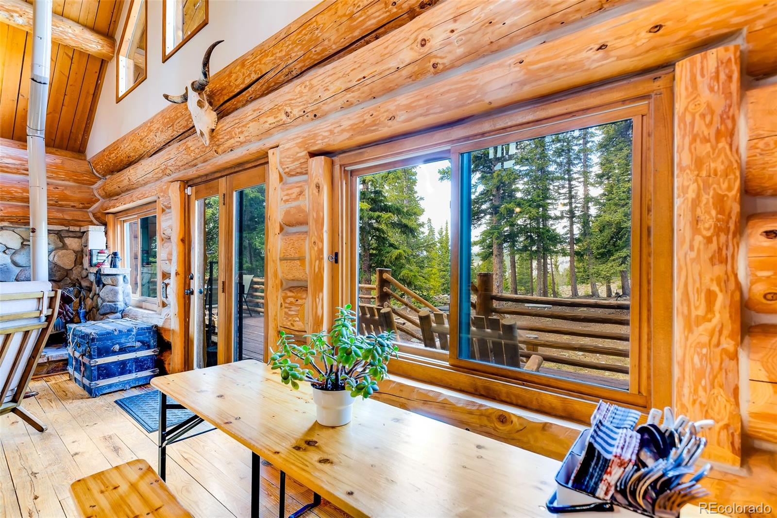 MLS Image #6 for 45  valley of the sun drive,fairplay, Colorado
