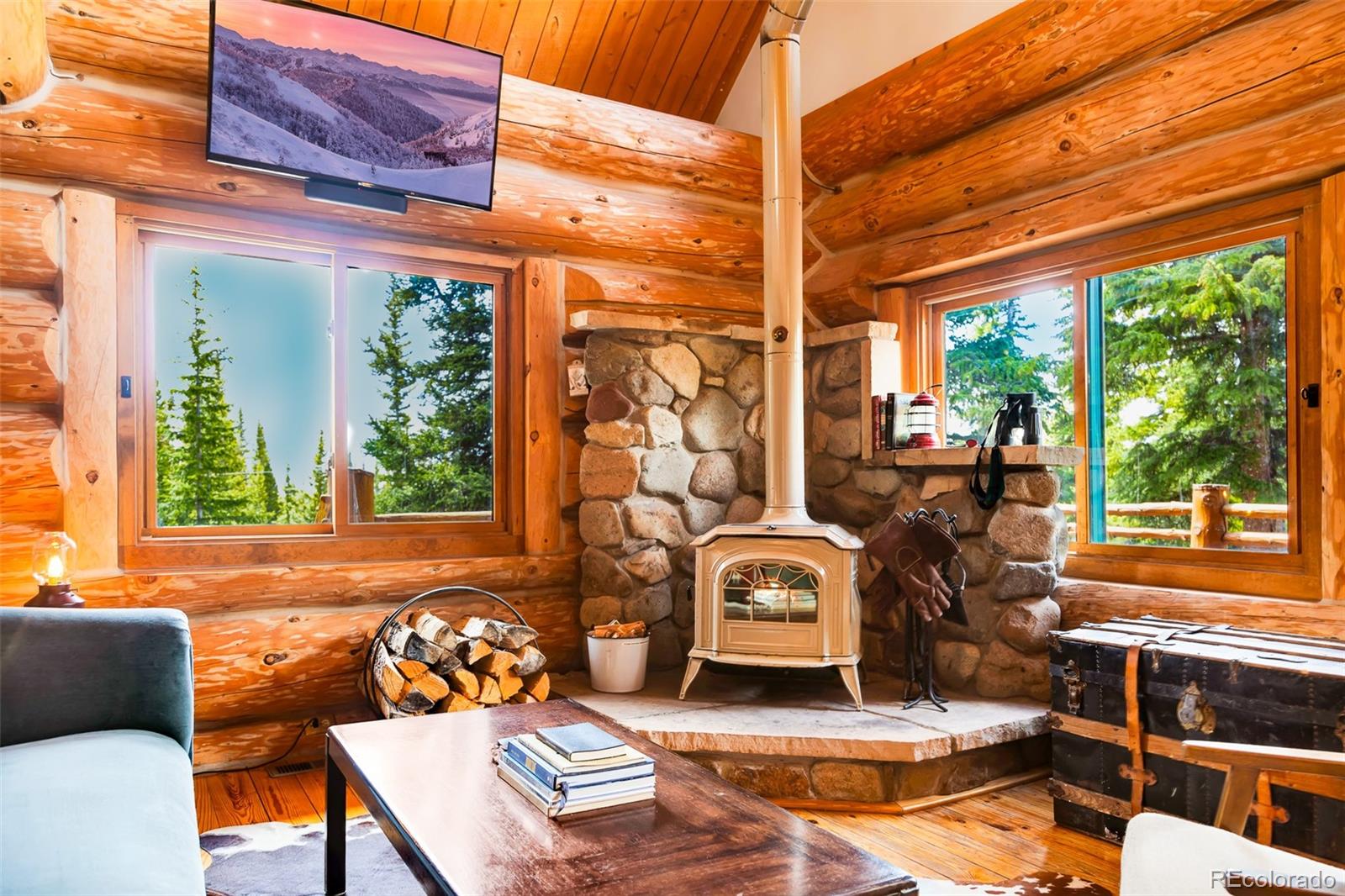 MLS Image #8 for 45  valley of the sun drive,fairplay, Colorado