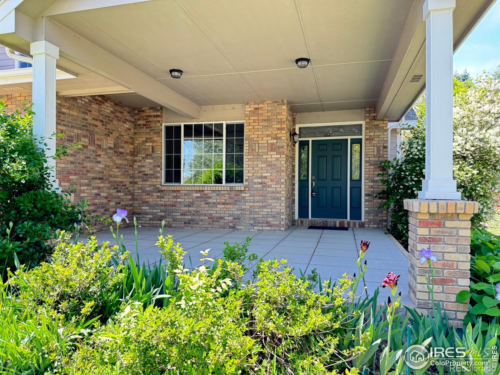 MLS Image #2 for 3385  laplata avenue,loveland, Colorado