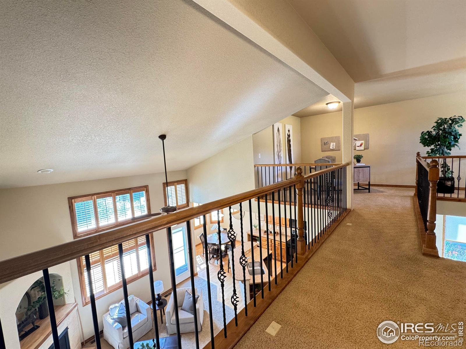 MLS Image #23 for 3385  laplata avenue,loveland, Colorado