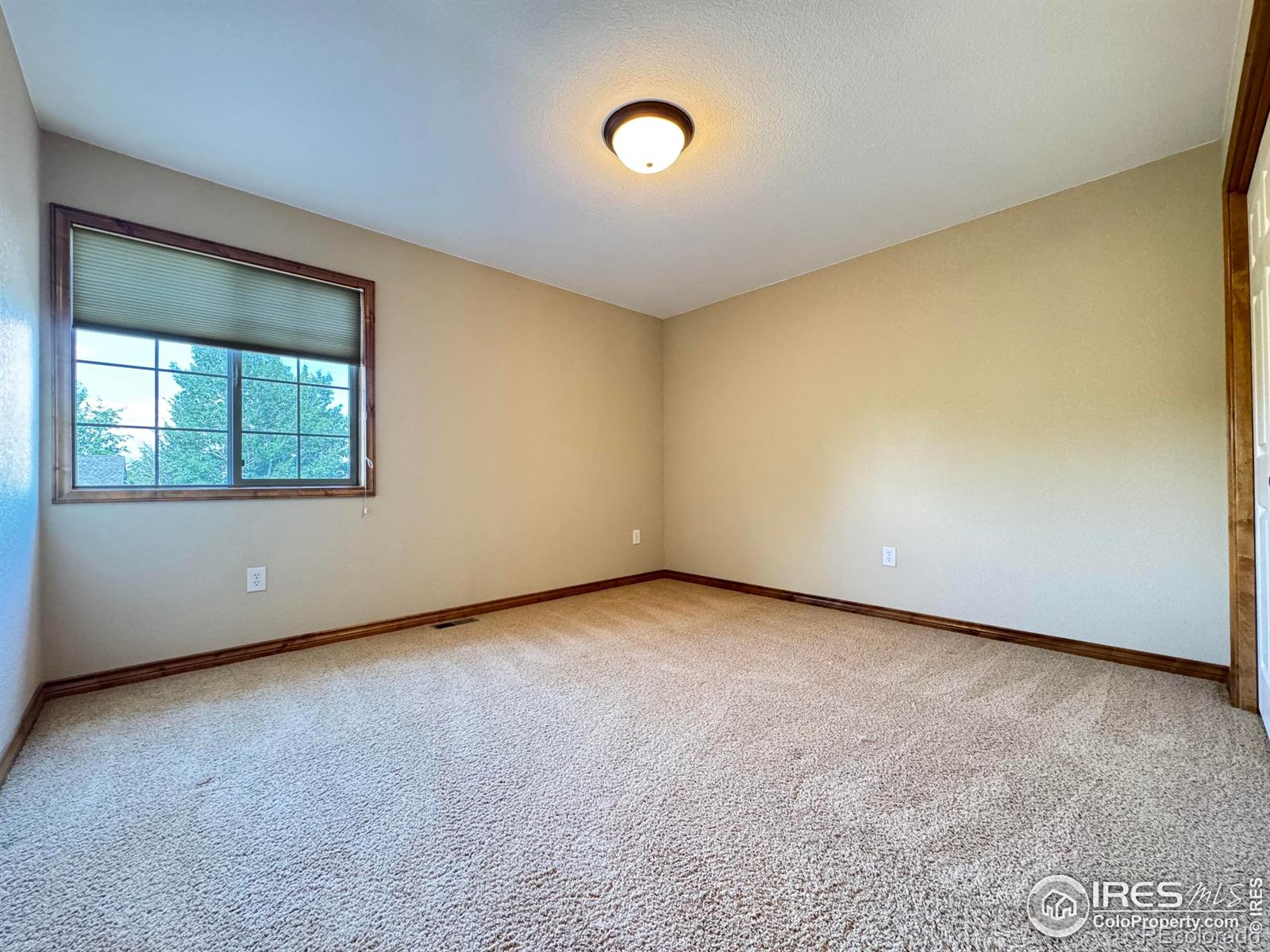 MLS Image #25 for 3385  laplata avenue,loveland, Colorado