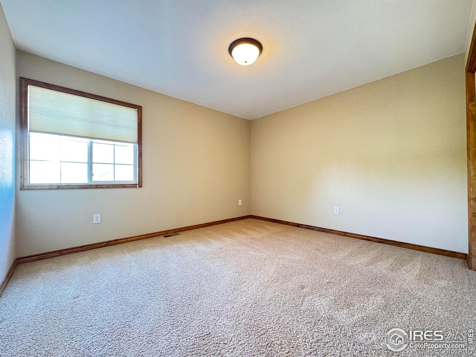MLS Image #26 for 3385  laplata avenue,loveland, Colorado