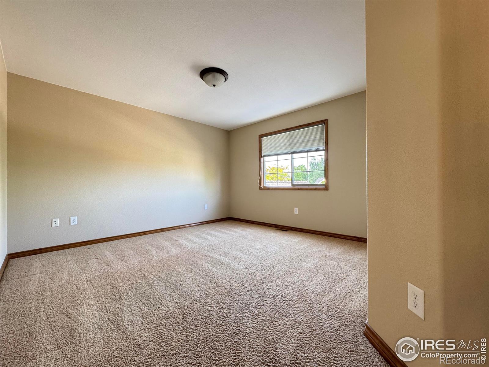 MLS Image #27 for 3385  laplata avenue,loveland, Colorado