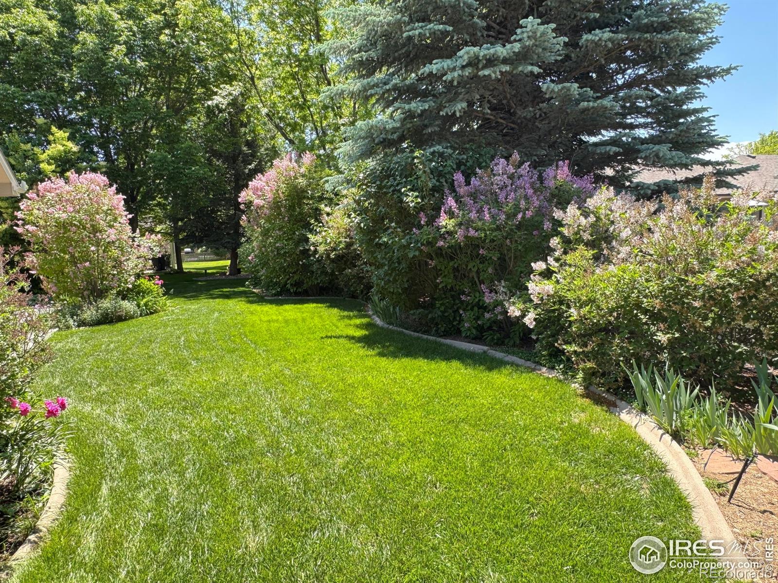 MLS Image #31 for 3385  laplata avenue,loveland, Colorado